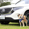 メルセデス・ベンツ EQC と柴犬のハル