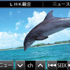 【カーナビガイド'08夏 写真蔵】パナソニック ストラーダポケット…コンパクトナビの質感を画像で