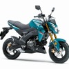 カワサキ Z125プロ（パールナイトシェードティール）