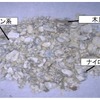 モニタリングで実際に回収したマイクロプラスチック
