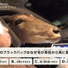 日産セレナe-POWERの特徴のひとつである、助手席窓の広さは、動物にとって頭を入れやすいという利点なっているかも!?