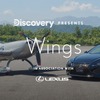 ディスカバリーチャンネル「Wings」