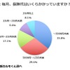 毎月、保険代はいくらかかっていますか？