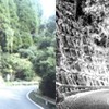 道路のり面の画像と3次元データ