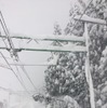 雪で線路が埋まり、架線柱もすっぽり白く覆われた。