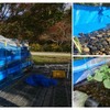 JR東日本沿線の湧水を活用し栽培する「鉄道わさび」栽培の実証実験