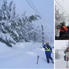 大雪では、湿った降雪の影響で倒木も多数発生する。電化区間では架線設備に損傷を与えることも。