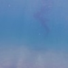 潘 逸舟 《海で考える人》 2021