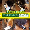 猫参加型「交通にゃん全クイズ」公開＆猫参加型「交通にゃん全番組」地上波放映決定