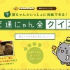 猫参加型「交通にゃん全クイズ」公開＆猫参加型「交通にゃん全番組」地上波放映決定