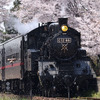 真岡鐡道のSL列車、3月13日に自粛解除…6・7月は車両検査で運休に 画像