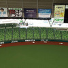 外野席レフト側俯瞰