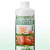 ALA配合 液体肥料を発売…1000倍!!