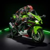 Ninja ZX-10R KRT EDITION