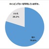 キャンピングカーを所有していますか？