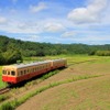 小湊鐵道のキハ200形。14両が在籍しているが、キハ209は現在、休車中。キハ40形は2両のみのため、今後は共用される。