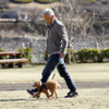 津久井湖城山公園でお散歩