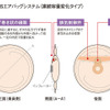 【池原照雄の単眼複眼】ホンダの研究員はミシンも使う