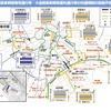 改正の概要