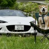 マツダ ロードスター × ハル
