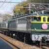 EF65トワイライトエクスプレス塗装