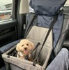 アイビーエスリムジン、「愛犬と一緒に旅や移動ができる運転手付専用車」サービスを開始