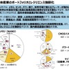 半導体戦略の概要：国内半導体産業のポートフォリオとレジリエンス強靭化