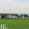 鬼怒川橋りょうへむけてのびる宇都宮ライトレール高架橋