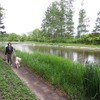 夏の愛犬とのドライブ旅行で気になる害虫対策