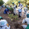 ジャパンエナジー、新潟県で植林ボランティア