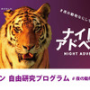 ナイトアドベン NIGHT ADVEN