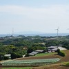 三浦の田園風景の先に広がる海