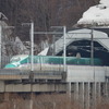 北海道新幹線に侵入したシカは左手の防音壁を乗り越えられずに、線路内を右往左往しているという。