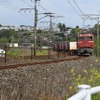 EF510の投入によりED76形とともに淘汰される国鉄型のEF81形。