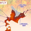 エリア別の紅葉見頃予想