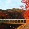 京都嵐山（イメージ）