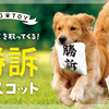 「判決を取ってくる犬用おもちゃ『勝訴マスコット』」