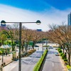 西新宿