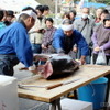 恩返し祭の目玉企画は何と言っても「マグロの解体ショー」。とても自動車修理・販売会社での光景とは思えません　