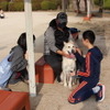 ワンミャツダクラブで保護した犬たちの1歳を祝うお散歩会