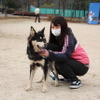 まるちゃん。ちょっと臆病なのでお散歩はいつも同じコースだというが、飼い主さんは「他の犬や人に興味はあるみたい」と話していた
