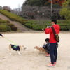 ワンミャツダクラブで保護した犬たちの1歳を祝うお散歩会