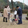 ワンミャツダクラブで保護した犬たちの1歳を祝うお散歩会