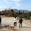 犬のお散歩ボランティア（呉動物愛護センターにて）