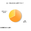 車は生活に必要ですか？