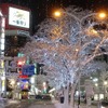 イルミネーション（イメージ）