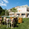 ルーティングシステムズ、愛犬と泊まれるホテルに関する街頭調査を実施