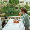 ルーティングシステムズ、愛犬と泊まれるホテルに関する街頭調査を実施