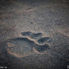 © Simon Rawles / WWF-UK