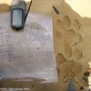 © WWF-Indonesia / Tiger Survey Team